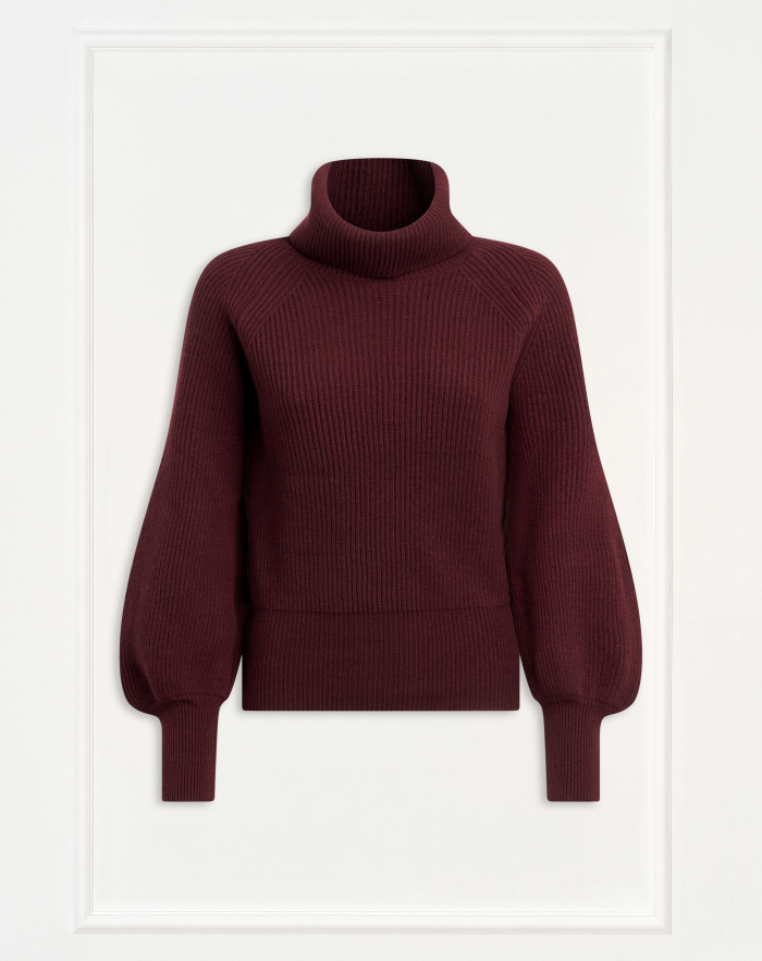 Adriana polo neck jumper in wool